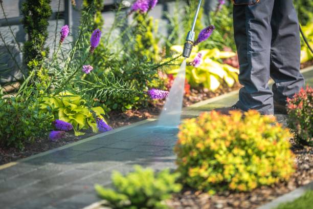 Best Sidewalk and Walkway Pressure Cleaning in Center Point, AL