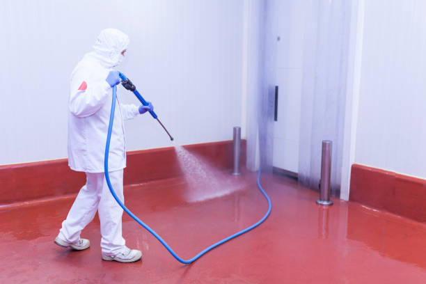Best Concrete Surface Cleaning in Center Point, AL
